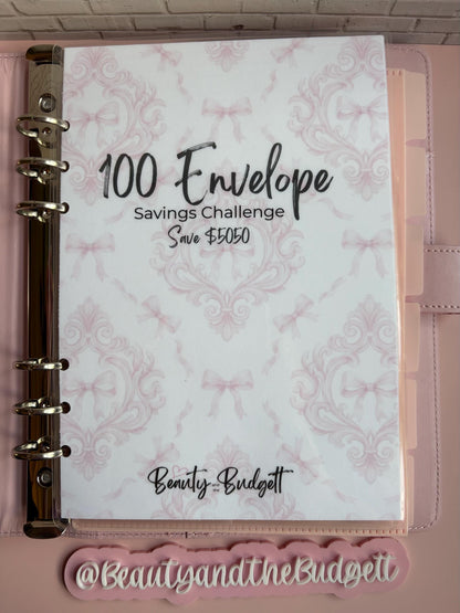 100 Envelope Savings Challenge Tracker | Cash Stuffing Binder Insert (Digital Download)