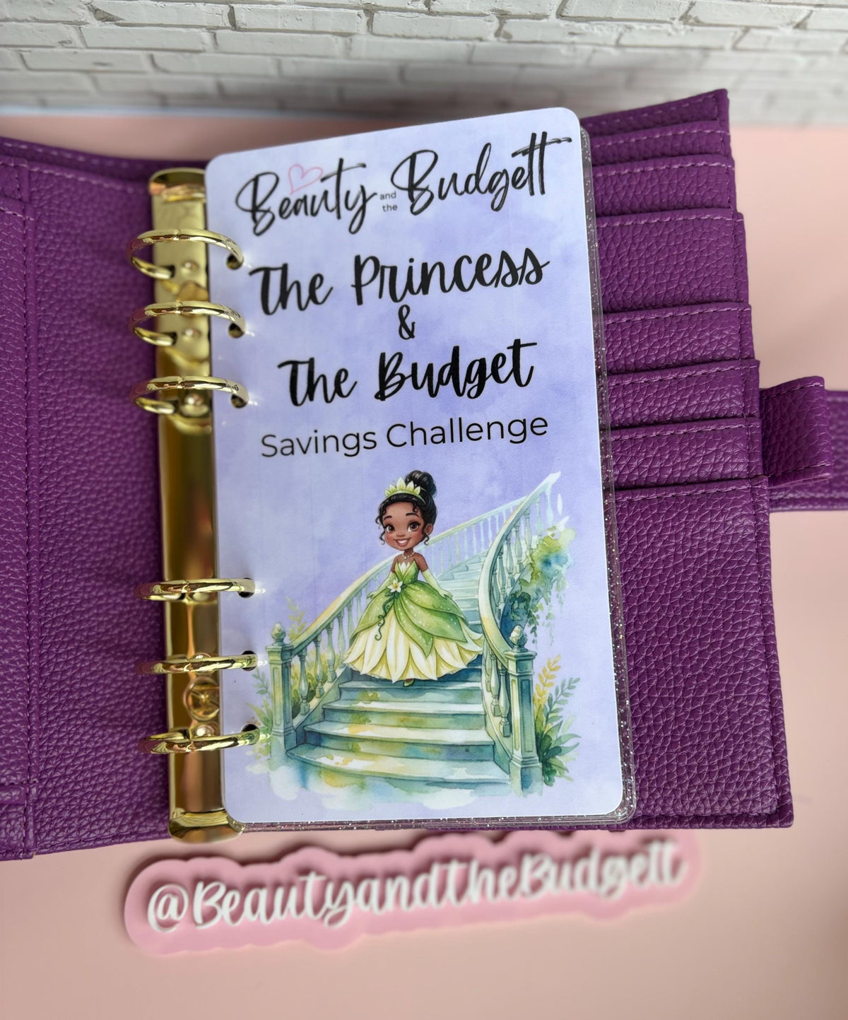 Princess and the Budget Savings Challenge | Tiana Budget Trackers (Digital Download)